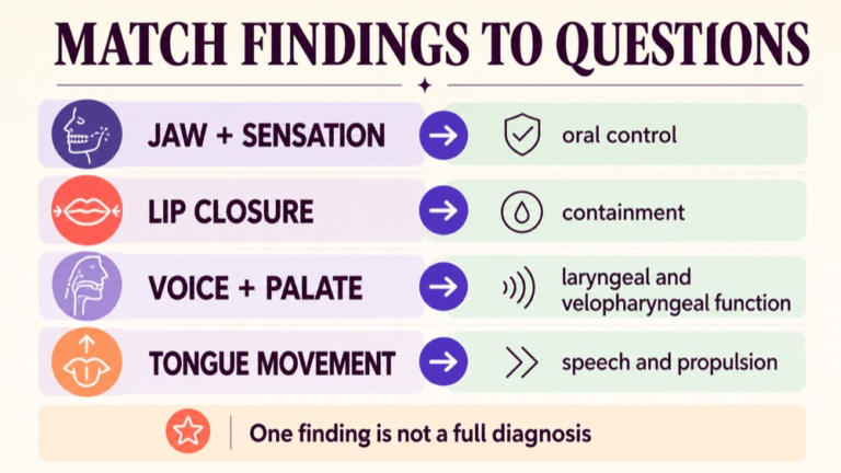 Cranial nerve study infographic matching lip, jaw, tongue, palate, voice, and pharyngeal observations to focused clinical questions