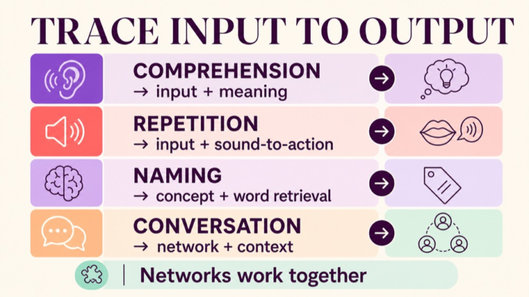 Input to output speech-language pathway infographic comparing comprehension, repetition, naming, conversation, and feedback