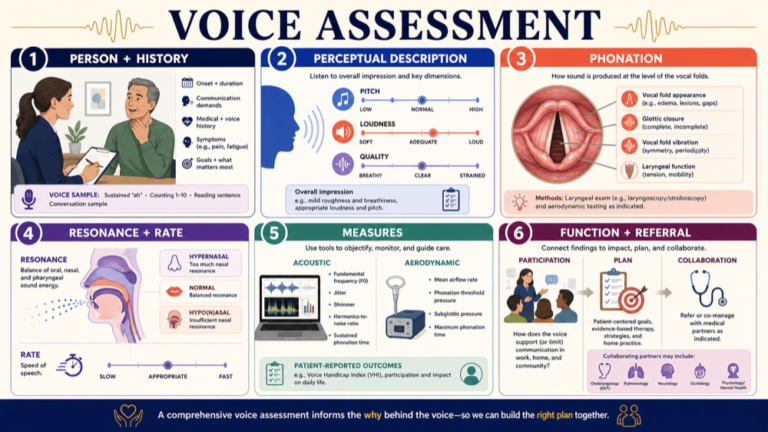 Voice assessment map connecting history, perception, phonation, resonance, task context, measures, and function