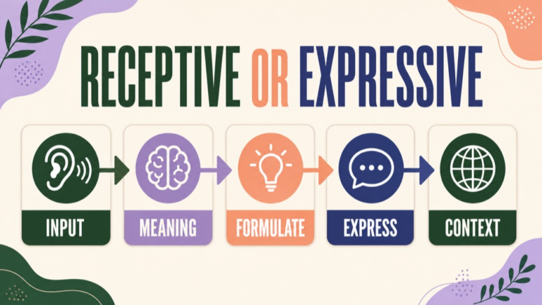 Receptive versus expressive language assessment map connecting understanding, expression, language domains, access, evidence sources, and function
